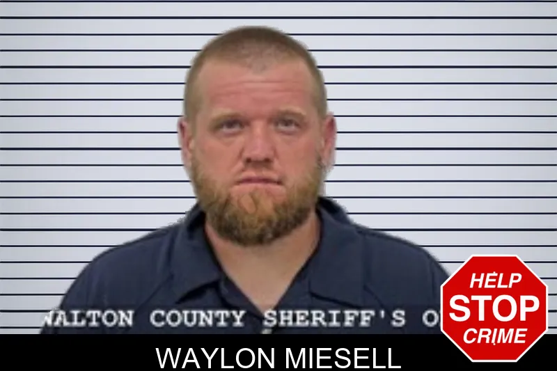 Waylon Miesell mugshot – Walton County , Georgia Waylon Miesell mugshot