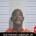 Waymond Gibson Jr mugshot