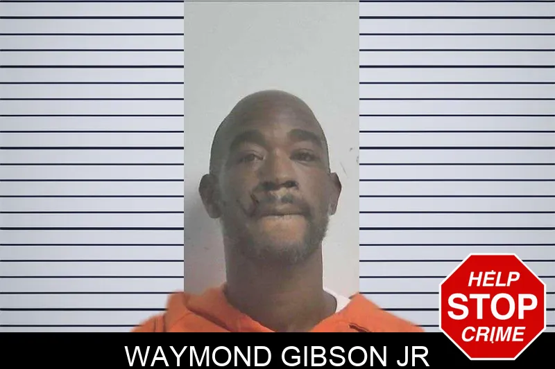 Waymond Gibson Jr mugshot – Colquitt County , Georgia Waymond Gibson Jr mugshot