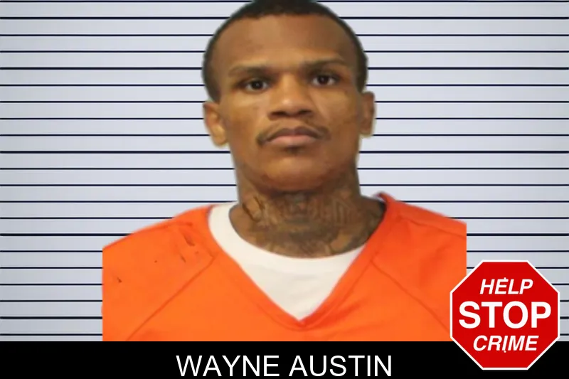 Wayne Austin mugshot – Seminole County , Georgia Wayne Austin mugshot