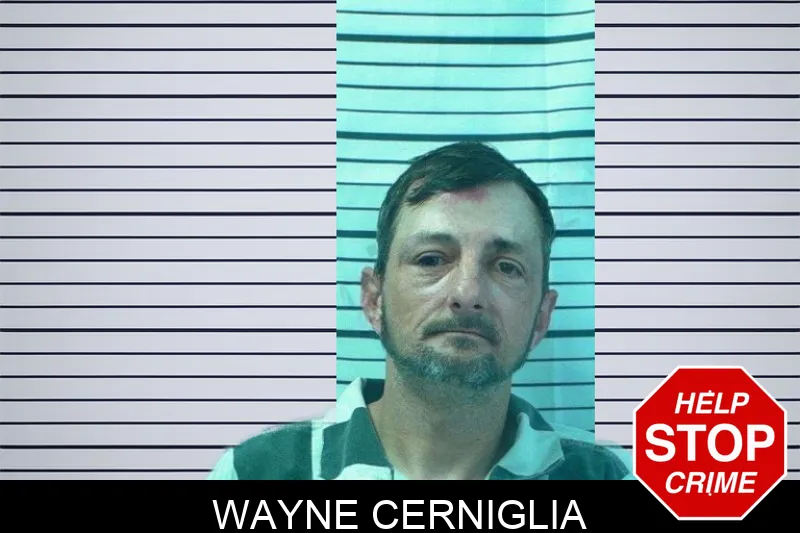 Wayne Cerniglia mugshot – Stephens County , Georgia Wayne Cerniglia mugshot