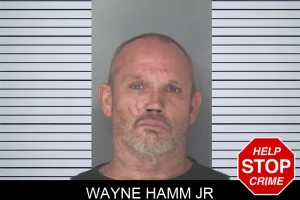 Wayne Hamm Jr mugshot