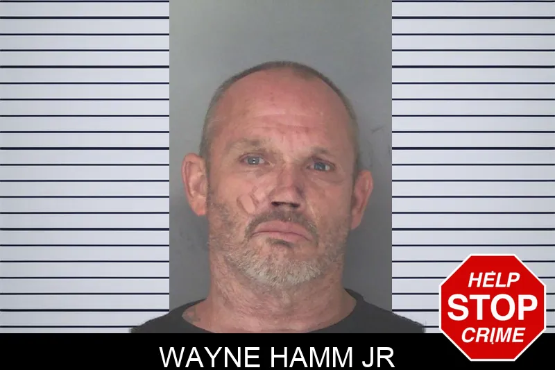 Wayne Hamm Jr mugshot – Douglas County , Georgia Wayne Hamm Jr mugshot