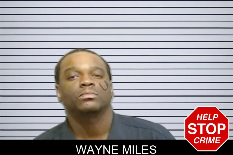 Wayne Miles mugshot