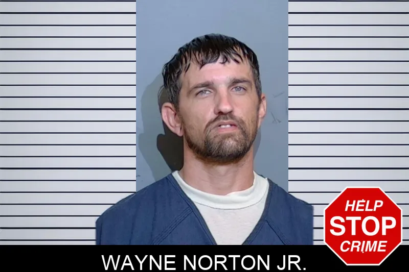 Wayne Norton Jr. mugshot