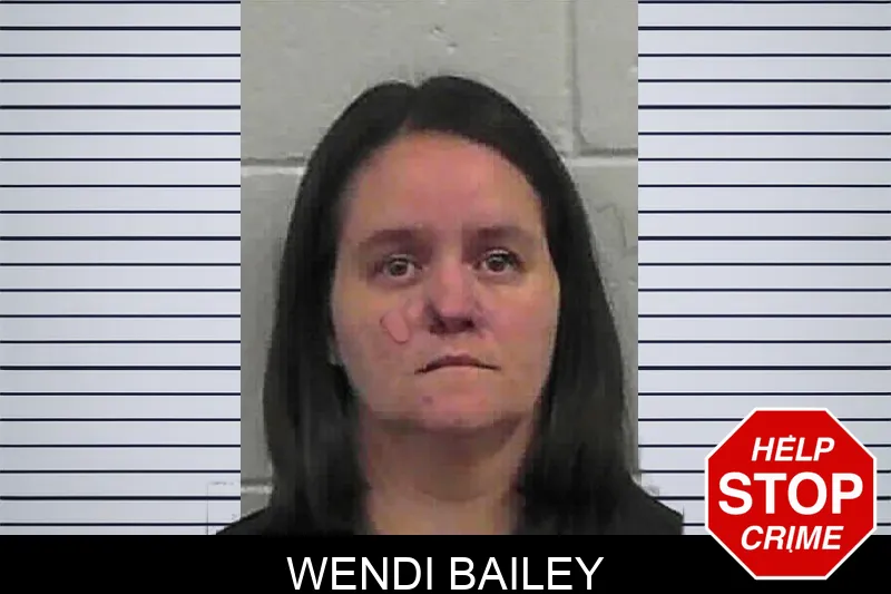 Wendi Bailey mugshot – Butts County , Georgia Wendi Bailey mugshot