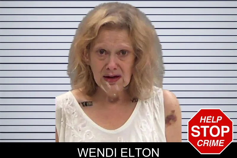 Wendi Elton mugshot – Baldwin County , Georgia Wendi Elton mugshot