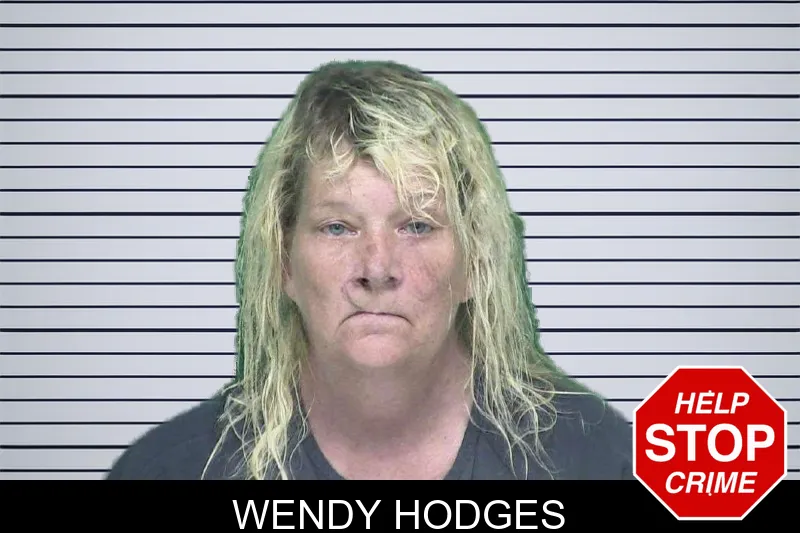 Wendy Hodges mugshot – Appling County , Georgia Wendy Hodges mugshot
