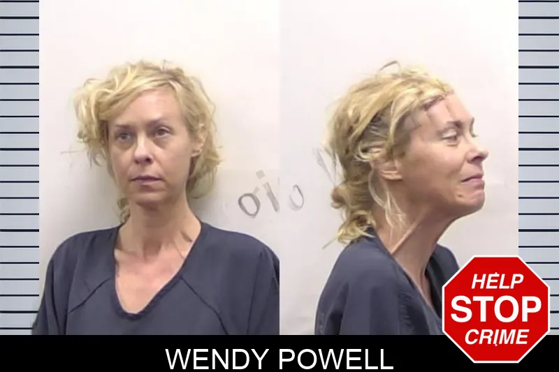 Wendy Powell mugshot – Clarke County , Georgia Wendy Powell mugshot