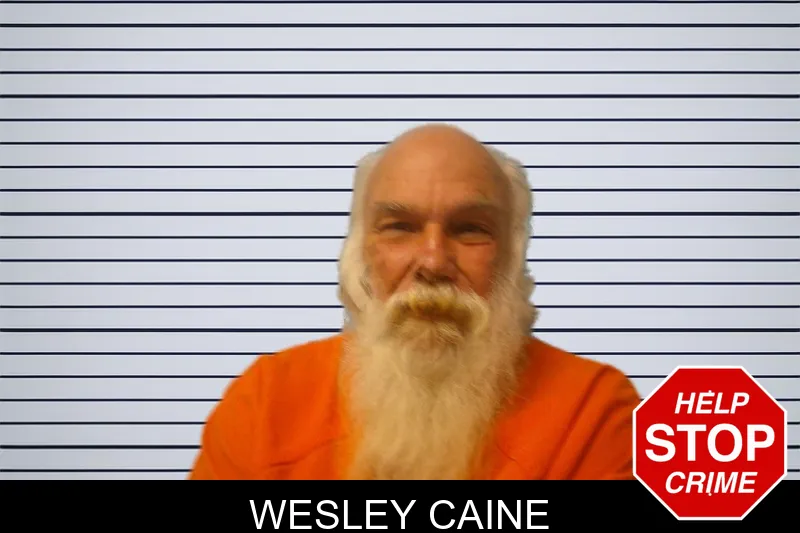 Wesley Caine mugshot – Franklin County , Georgia Wesley Caine mugshot