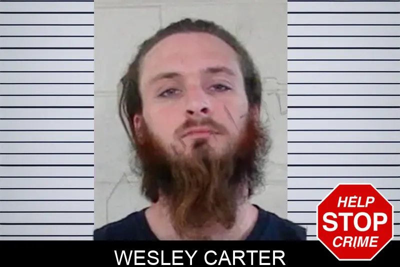 Wesley Carter mugshot