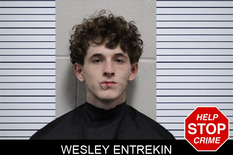 Wesley Entrekin mugshot – Habersham County , Georgia Wesley Entrekin mugshot