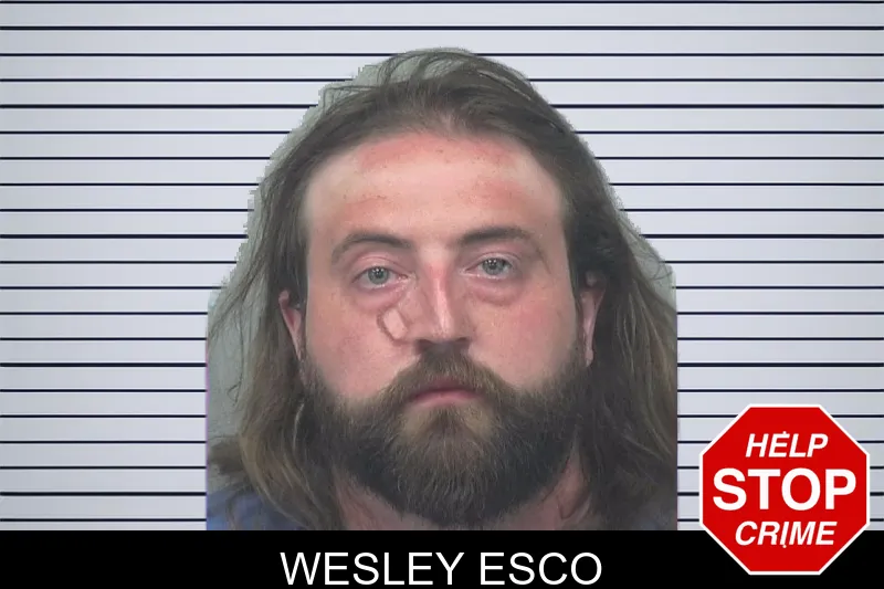 Wesley Esco mugshot – Gwinnett County , Georgia Wesley Esco mugshot