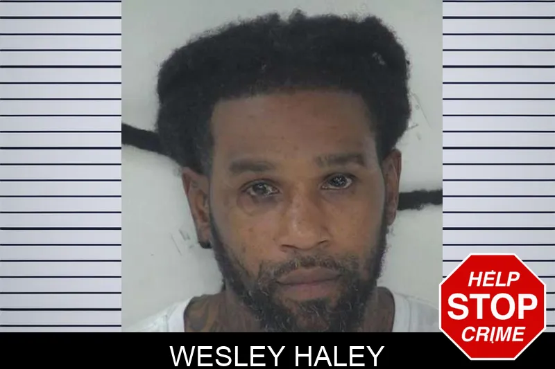 Wesley Haley mugshot – Fayette County , Georgia Wesley Haley mugshot