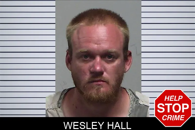 Wesley Hall mugshot
