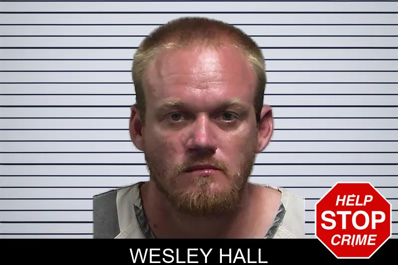 Wesley Hall mugshot