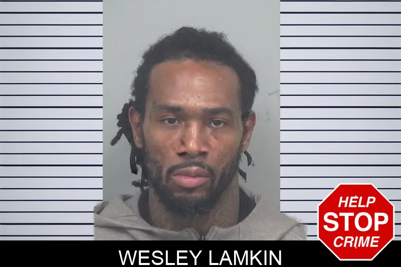 Wesley Lamkin mugshot – Gwinnett County , Georgia Wesley Lamkin mugshot
