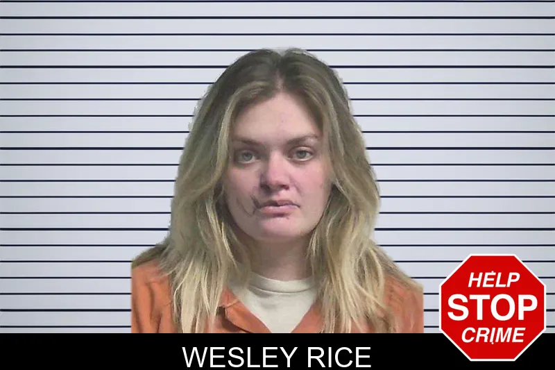 Wesley Rice mugshot – Colquitt County , Georgia Wesley Rice mugshot