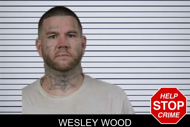 Wesley Wood mugshot