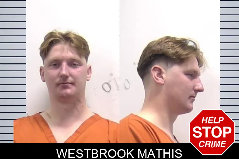 Westbrook Mathis mugshot – Clarke County , Georgia Westbrook Mathis mugshot