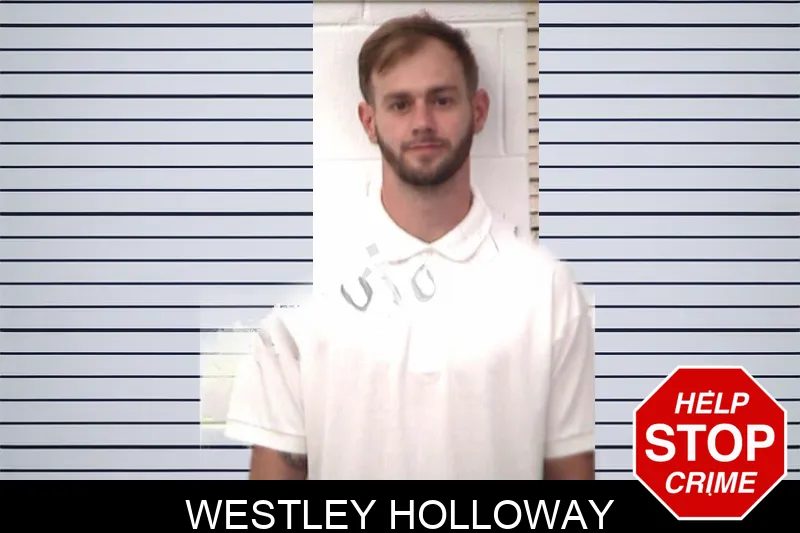 Westley Holloway mugshot