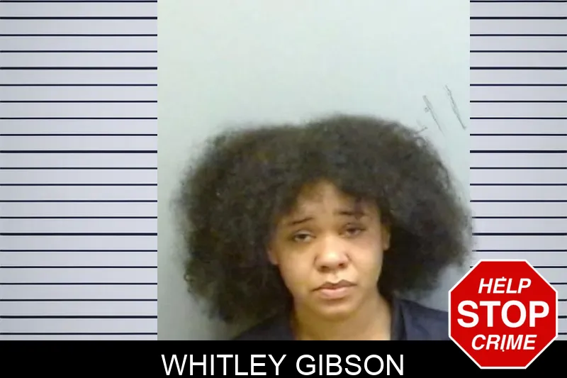 Whitley Gibson mugshot