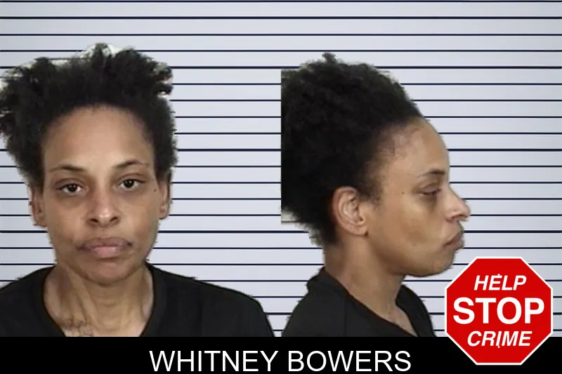 Whitney Bowers mugshot