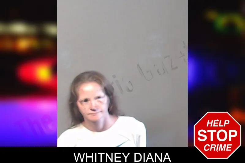 Whitney Diana mugshot – DeKalb County , Georgia Whitney Diana mugshot