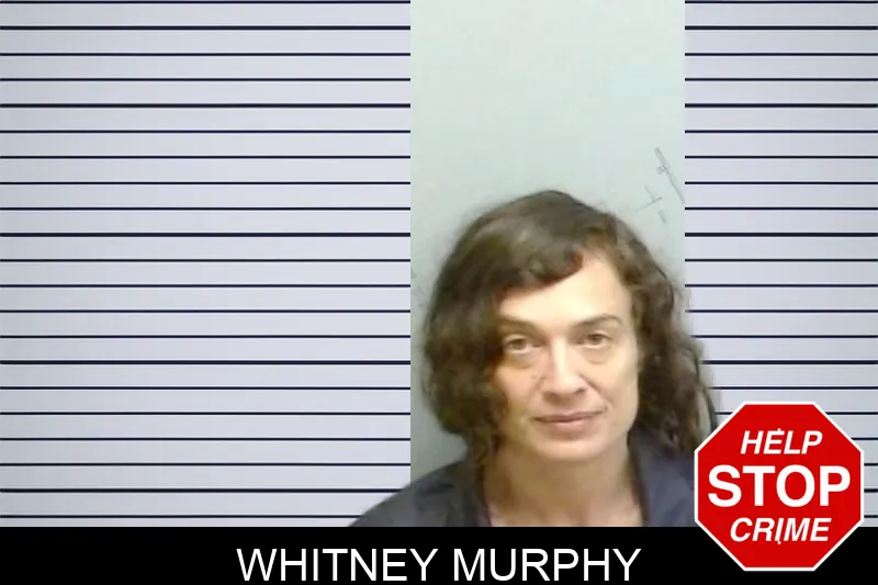 Whitney Murphy mugshot – Fulton County , Georgia Whitney Murphy mugshot