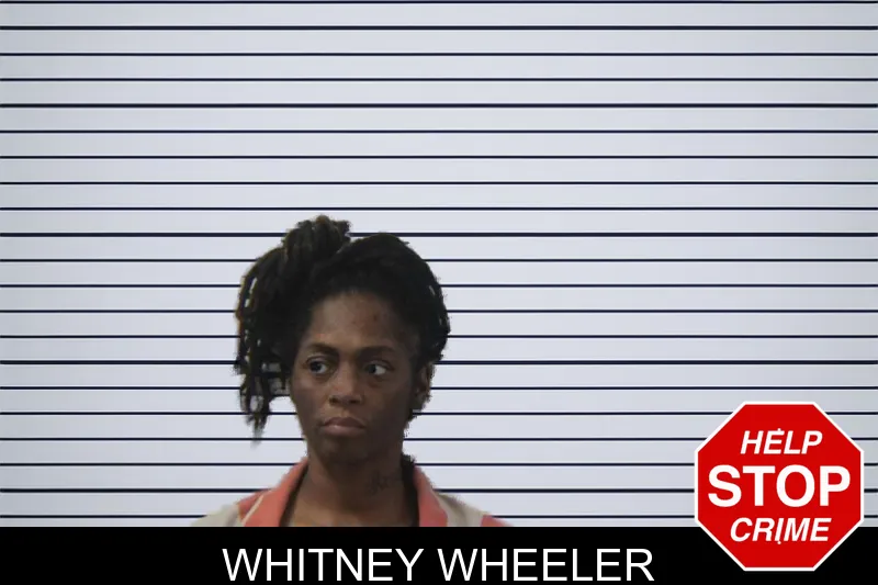 Whitney Wheeler mugshot – Stephens County , Georgia Whitney Wheeler mugshot