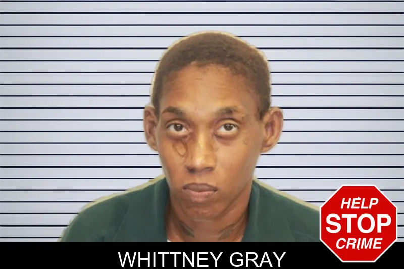 Whittney Gray mugshot – Chatham County , Georgia Whittney Gray mugshot