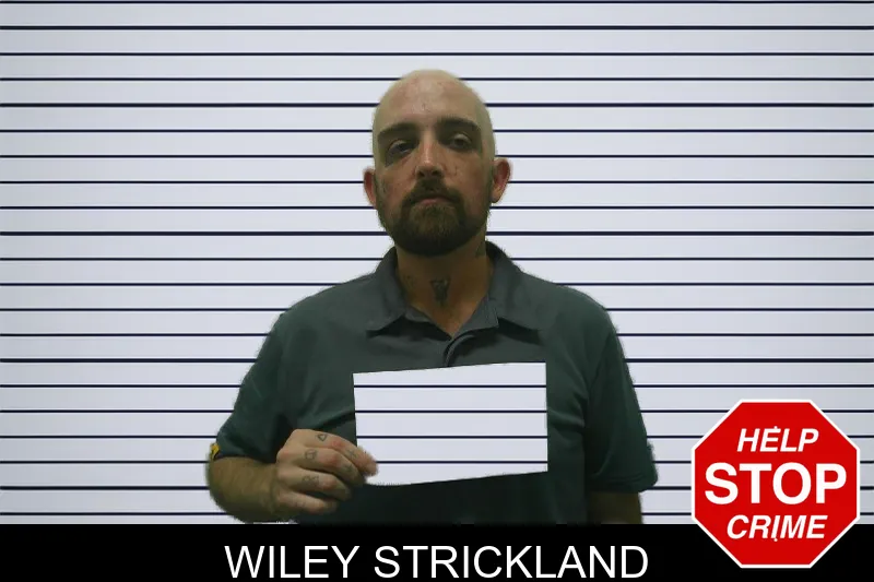 Wiley Strickland mugshot – Pierce County , Georgia Wiley Strickland mugshot