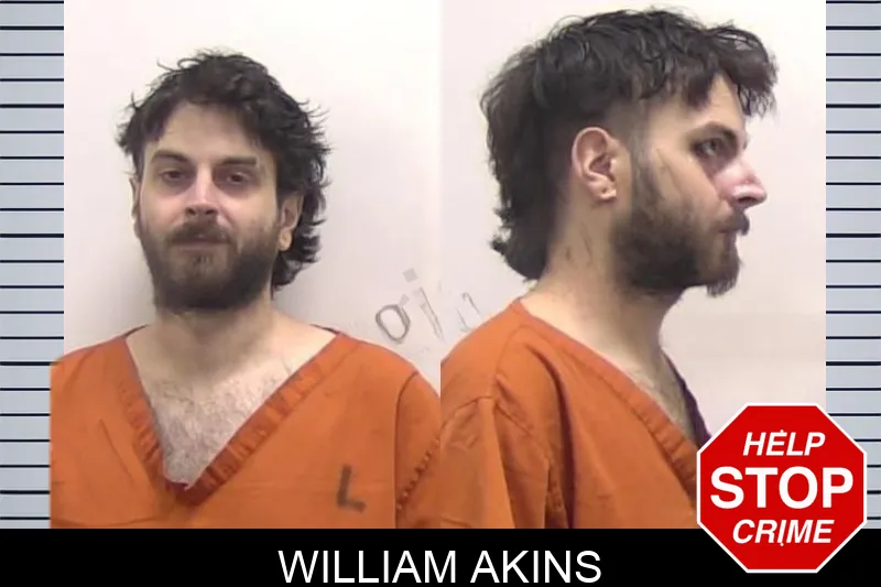 William Akins mugshot