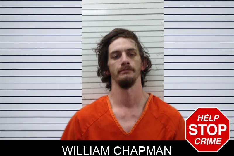William Chapman mugshot – Pickens County , Georgia William Chapman mugshot