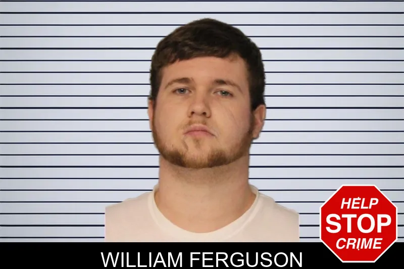 William Ferguson mugshot – Hall County , Georgia William Ferguson mugshot