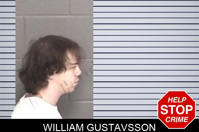 William Gustavsson mugshot – Barrow County , Georgia William Gustavsson mugshot