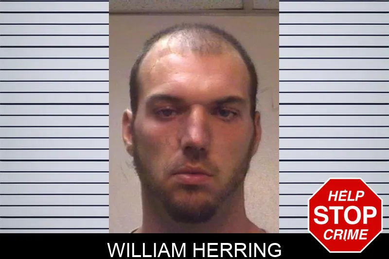William Herring mugshot