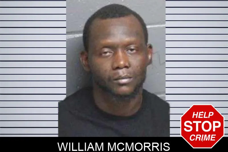 William McMorris mugshot – Bacon County , Georgia William McMorris mugshot