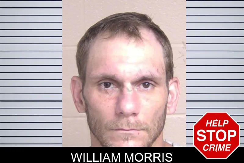 William Morris mugshot – Walker County , Georgia William Morris mugshot