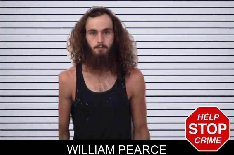 William Pearce mugshot – Emanuel County , Georgia William Pearce mugshot