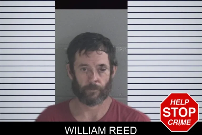William Reed mugshot – Brantley County , Georgia William Reed