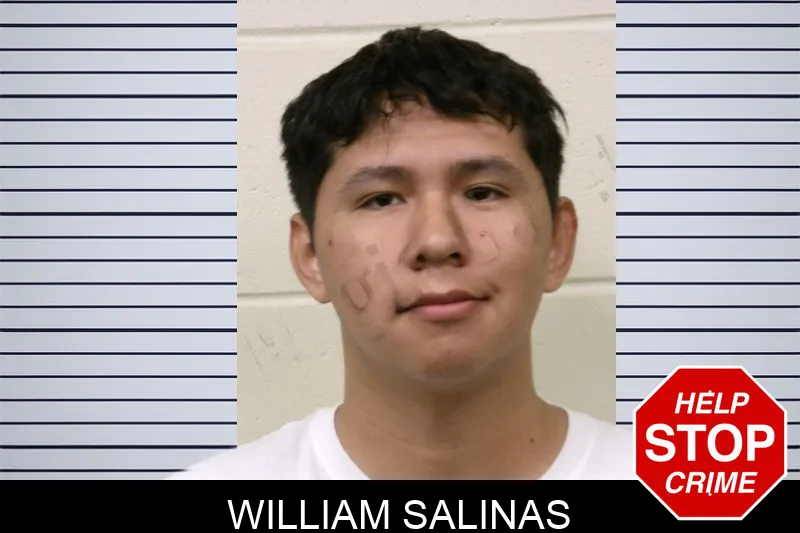 William Salinas mugshot – Bulloch County , Georgia William Salinas mugshot