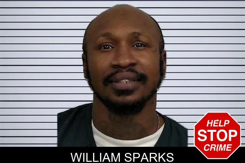 William Sparks mugshot – Jeff Davis County , Georgia William Sparks mugshot