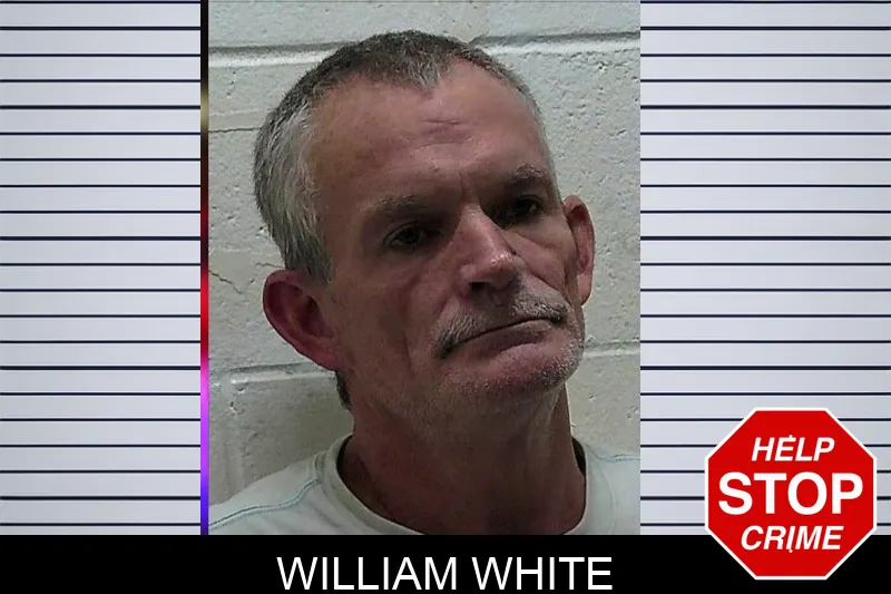 William White mugshot – Pierce County , Georgia William White mugshot