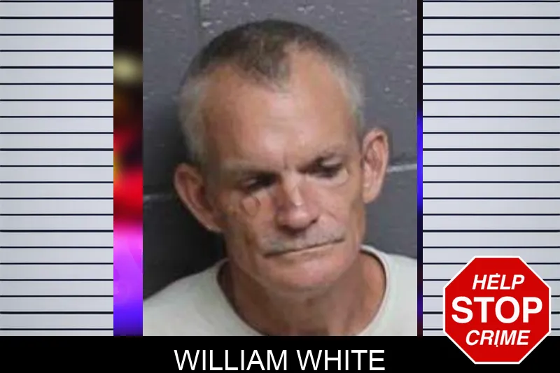 William White mugshot – Bacon County , Georgia William White mugshot