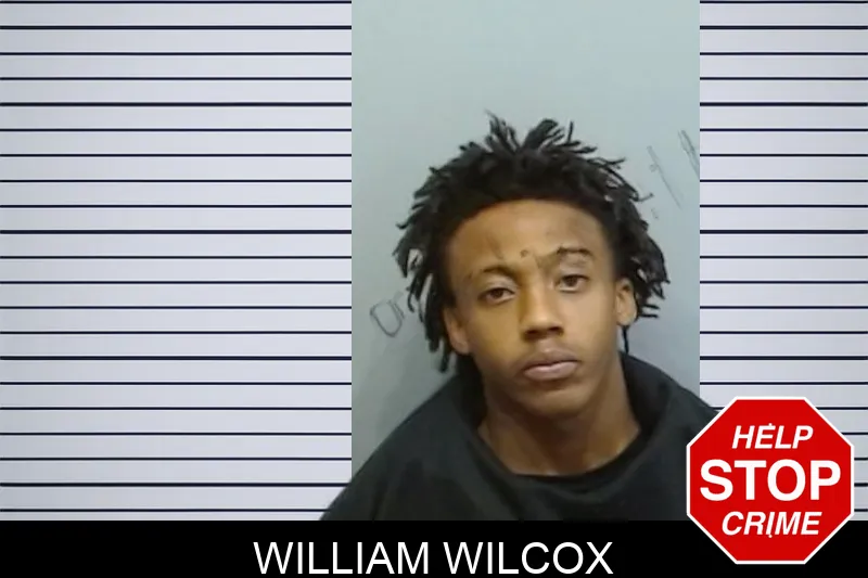 William Wilcox mugshot