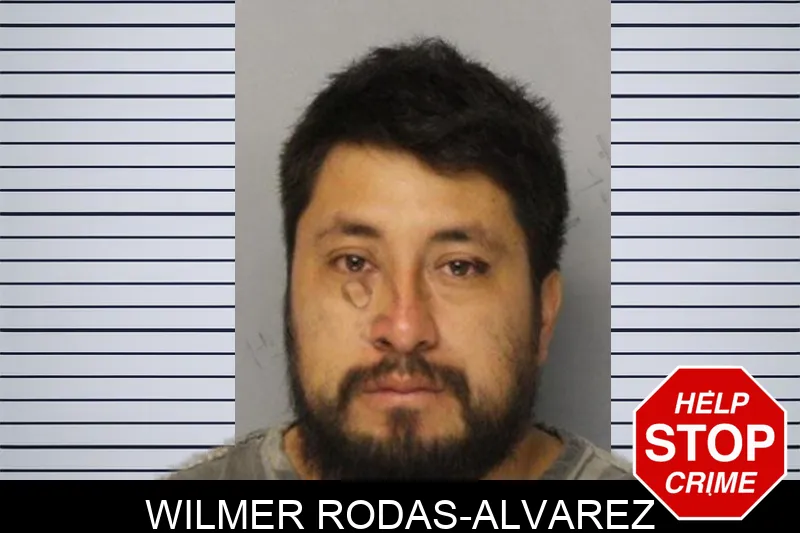 Wilmer Rodas-Alvarez mugshot