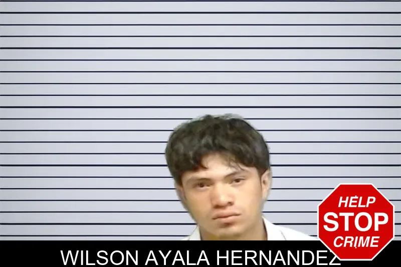 Wilson Ayala Hernandez mugshot