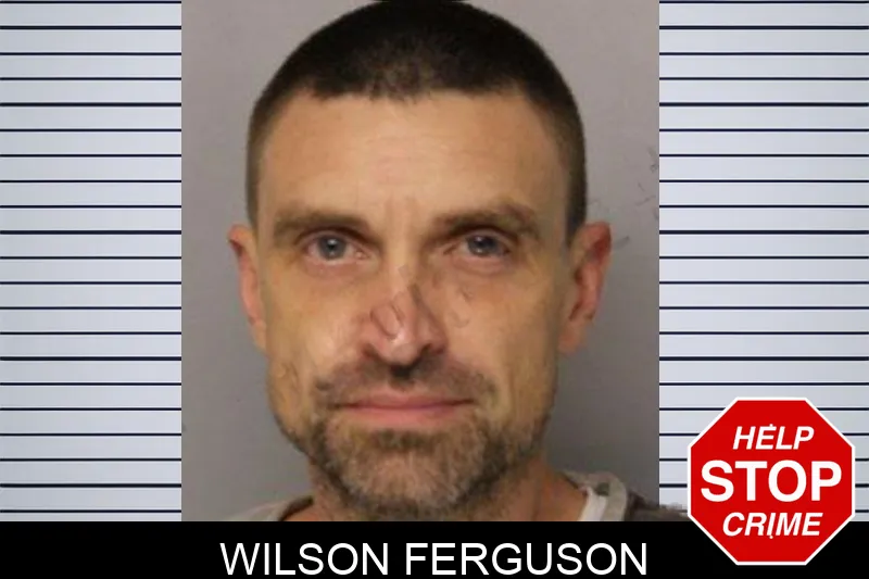 Wilson Ferguson mugshot – Hall County , Georgia Wilson Ferguson mugshot