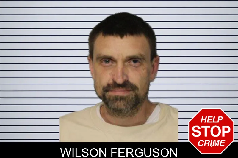 Wilson Ferguson mugshot – Hall County , Georgia Wilson Ferguson mugshot